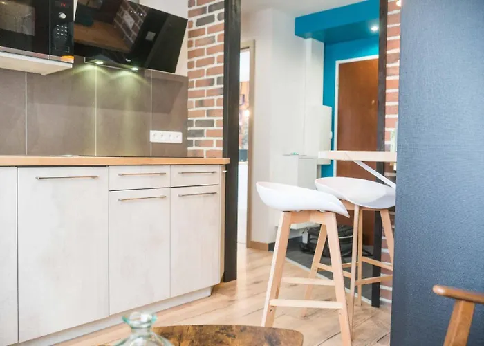 Daire Sleep In Alsace - Balcon - Centre Colmar